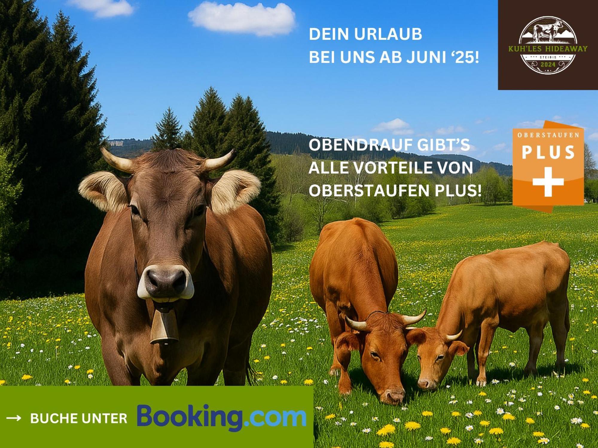 אוברשטאופן Kuh'Les Hideaway Steibis 3-Zimmer Ferienwohnung 55 M² מראה חיצוני תמונה